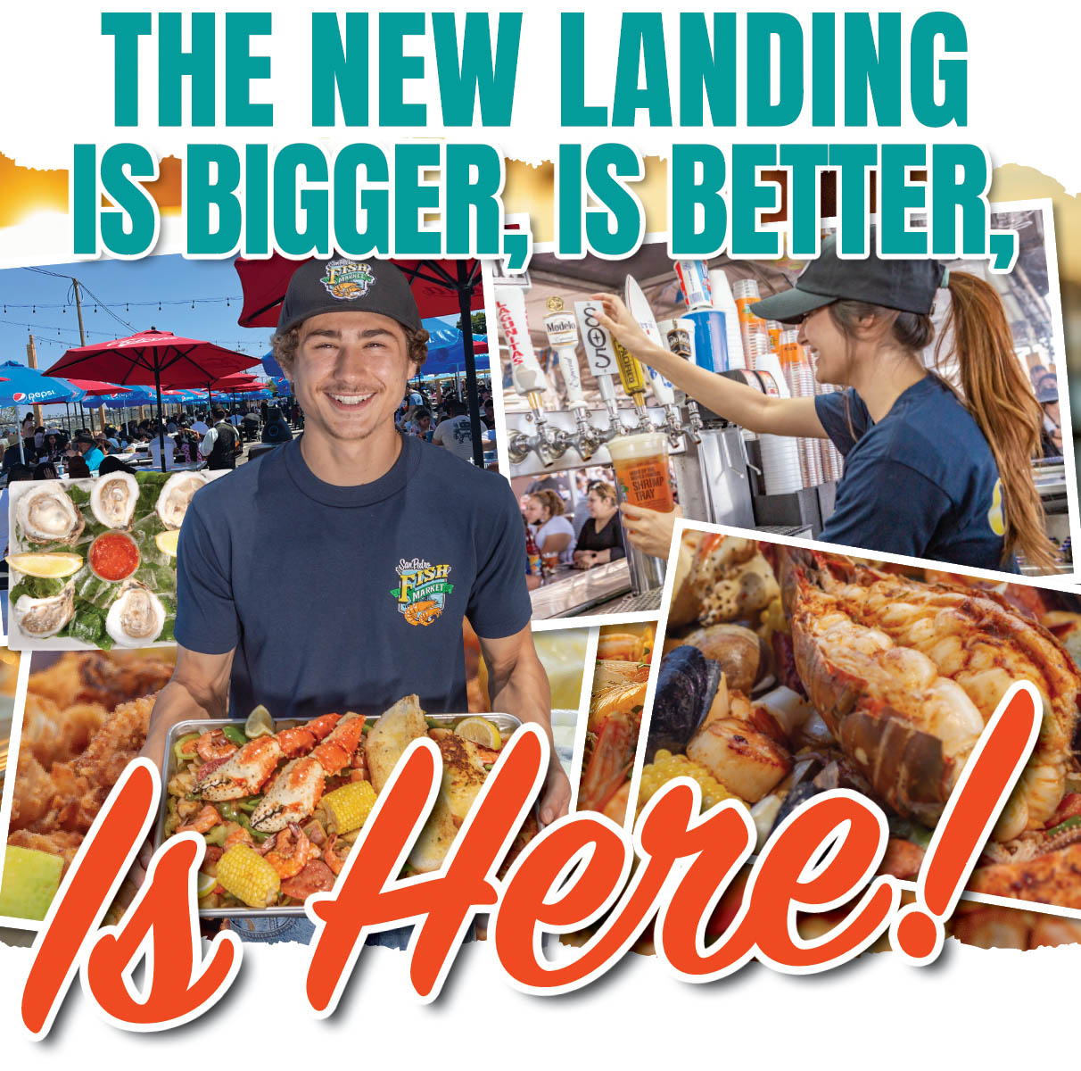New-Landing