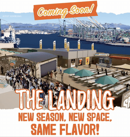 New-Landing